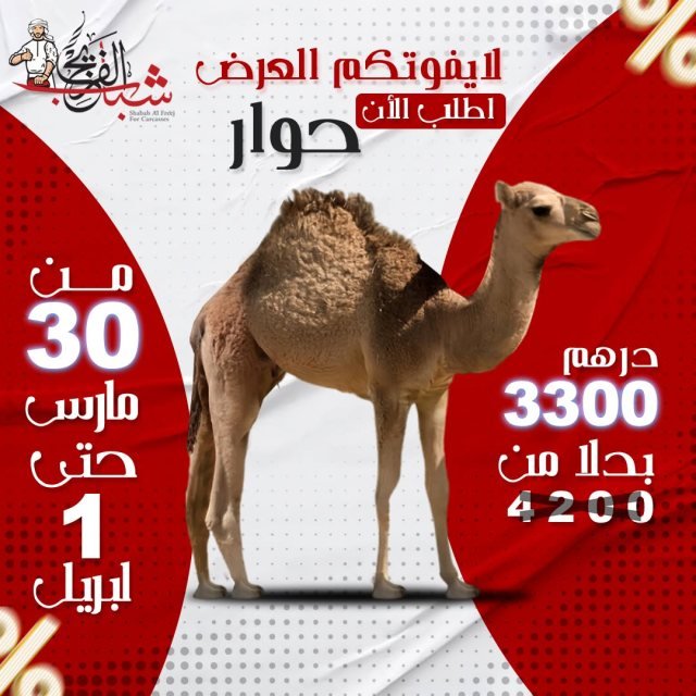 تصميم سوشيال ميديا من MONTAX